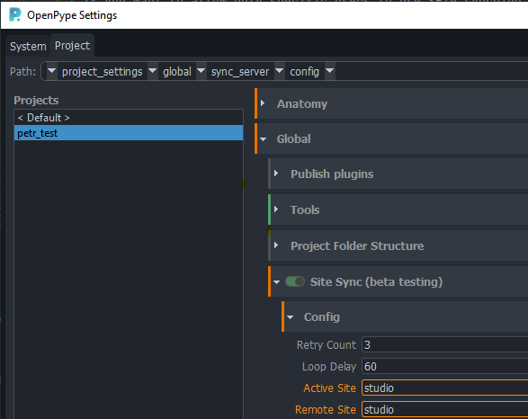 Select active and remote site on a project